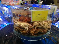 -新海渔港·胶东海鲜家常菜·家宴(奥体中心店)