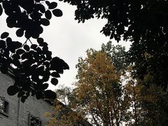 -百林公园-两江幸福广场
