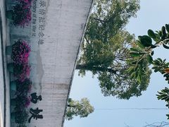 -西堤公园