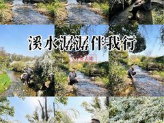 -中国茶叶博物馆(双峰馆区)