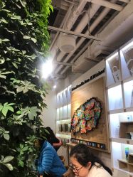 -悦诗风吟innisfree