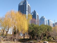 -郑东新区湿地公园