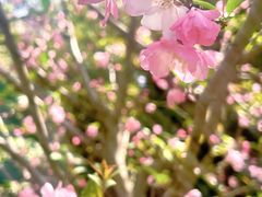 -徐家汇源景区-衡山公园