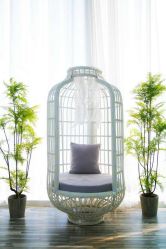 -星光贝贝(万达店)