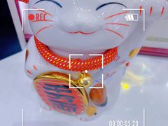 -张丽珍律师团队·北京离婚律师