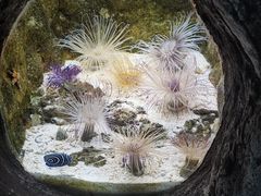 -杭州长乔极地海洋公园