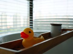 -上海外滩英迪格酒店