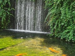-千岛湖东南湖区