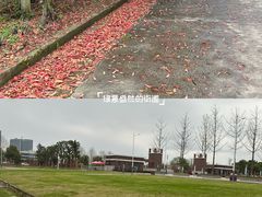 -湖南生物机电职业技术学院(东湖校区)