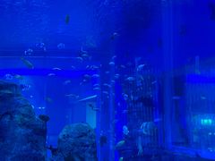 -石家庄极地海洋世界