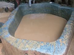 -100蛋泥浆浴