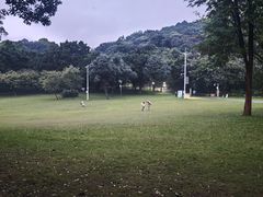 -莲花山公园