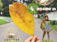 -深圳国际园林花卉博览园