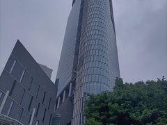 -紫峰大厦