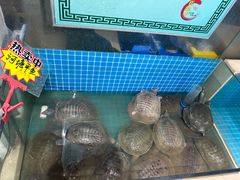 -元银甲·湖北地标美食(汉阳店)