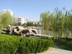 -雁滩公园