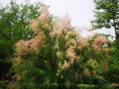 -北坞公园