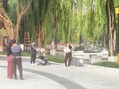 -温江公园