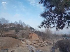 -莫子山公园