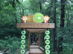 -大岭沟猕猴桃谷风景区