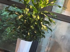 -树厨贵州菜(铜仁花果山店)