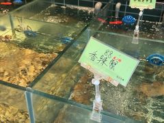 -黄山老妈·土菜(碧桂园店)