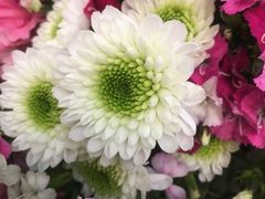 -妃比花艺(光启城时尚购物中心店)