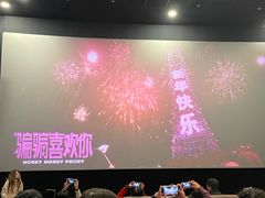 -SFC上影影城(港汇永华IMAX激光店)