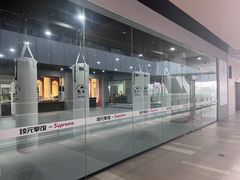-臻元搏击格斗泰拳拳馆(港隆店)