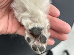 -comecome来吧宠物(奥克斯中心店)