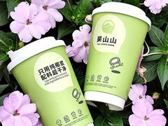 -吴山山·椰子酸奶(天河南店)