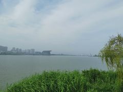 -高子水居