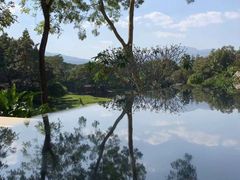 -四季酒店下午茶