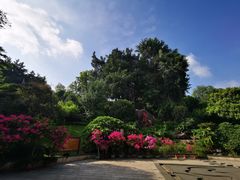 -乌山风景区