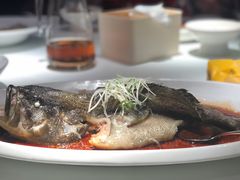 清蒸石斑鱼-鱼乐轩·俄罗斯海鲜直供餐厅(群力店)