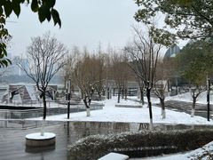 -月湖风景区