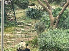 -石排湾郊野公园
