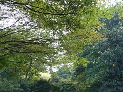 -西湖外事游船(花港观鱼码头)