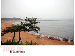 -八大关景区