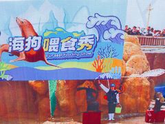 -秦皇岛乐岛海洋王国