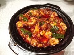 -陈麻婆豆腐总店