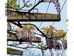 -上海吴淞炮台湾国家湿地公园