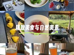 -野蔓果·山野菜(西湖景区·龙井茶田店)
