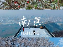 -紫金山山顶公园