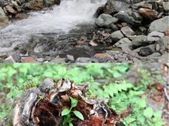 -硗碛藏寨·神木垒景区