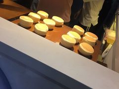 -狐狸和向日葵(北京路店)