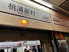 -桃浦新村(地铁站)