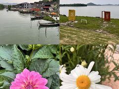 -桃花岭景区