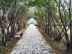 -汤阴县羑里周易博物馆