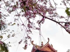 -福州仓山万达浦上大道地铁站锦江都城酒店